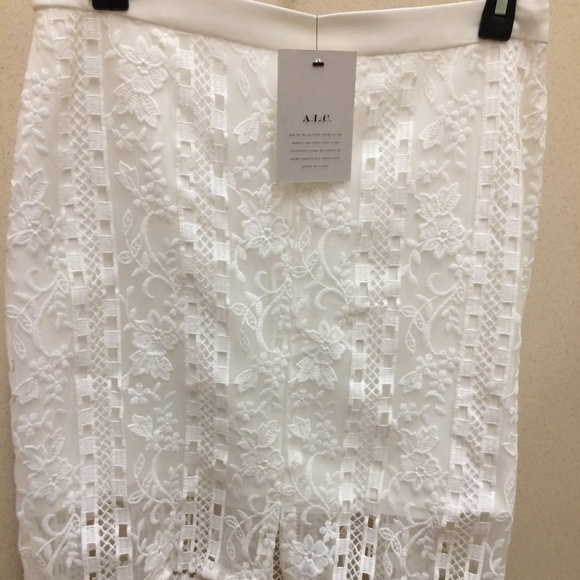 A.L.C. Merrill White Cotton Embroidered Skirt Silk Lined Designer ,Size 10,NEW - Picture 6 of 11